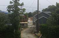 2019.08.02.portalsitenews