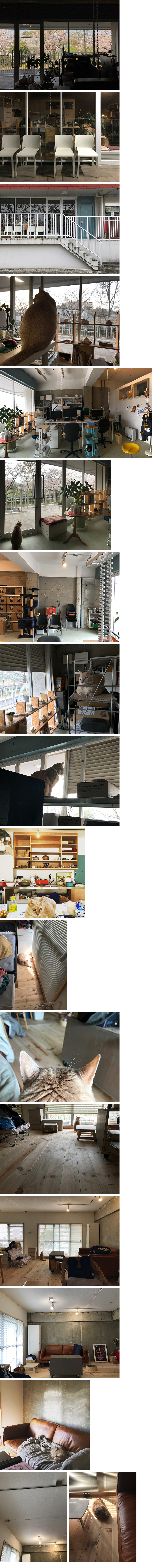 t+p STUDUIO (rough draft) 2021/chiba