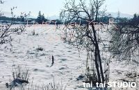 豊洲市場水産仲卸売場棟最後に開店した飲食店（寿司・海鮮）